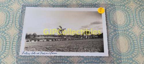 Fotografia vintage eda spencer - vintage,